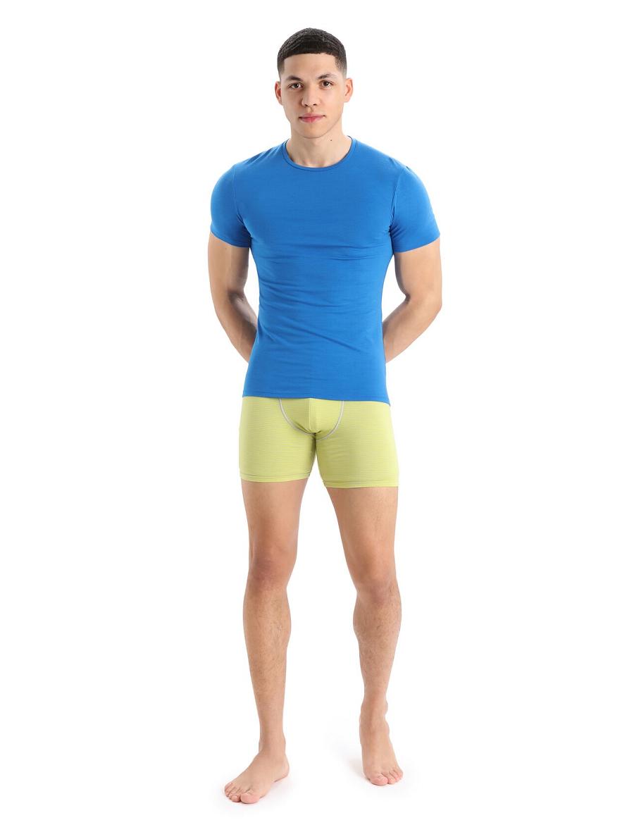 Icebreaker Merino Anatomica Long Boxers Miesten Alusvaatteet Minttu | FI 1283UZGT